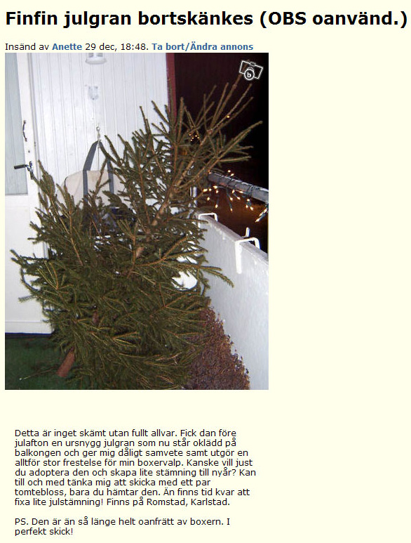 Finfin julgran bortskänkes..