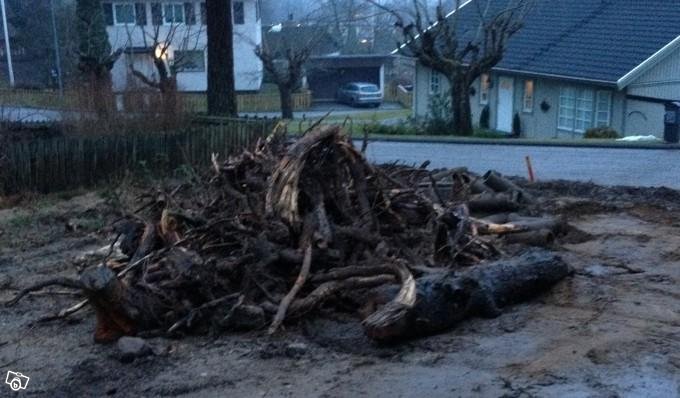 Präktig Vedhög/stubbhög bortskänkes