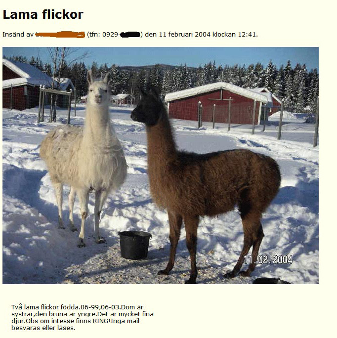 Lama flickor