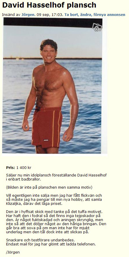 David Hasselhof plansch
