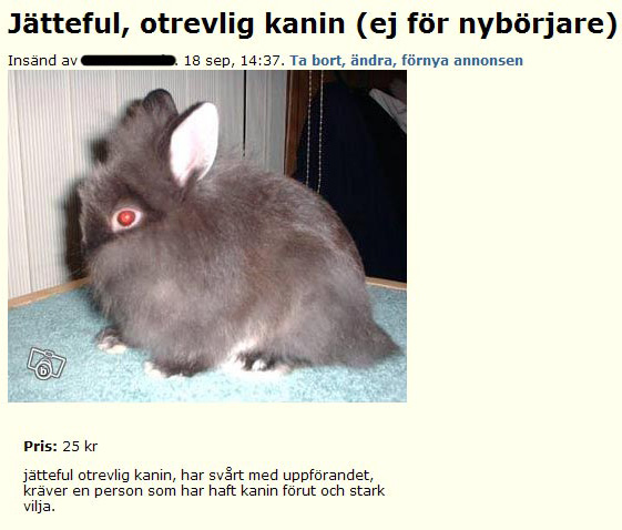 Jätteful, otrevlig kanin (ej för nybörjare)