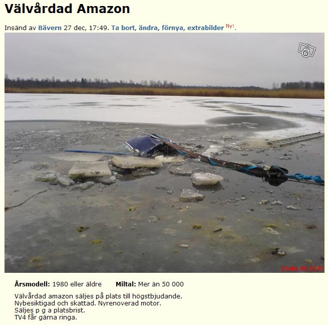 Välvårdad Amazon