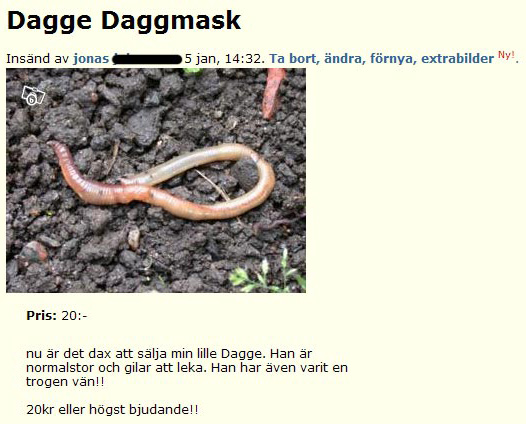 Dagge Daggmask