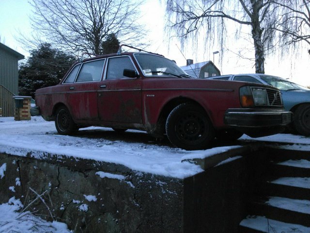 Volvo 244 d24