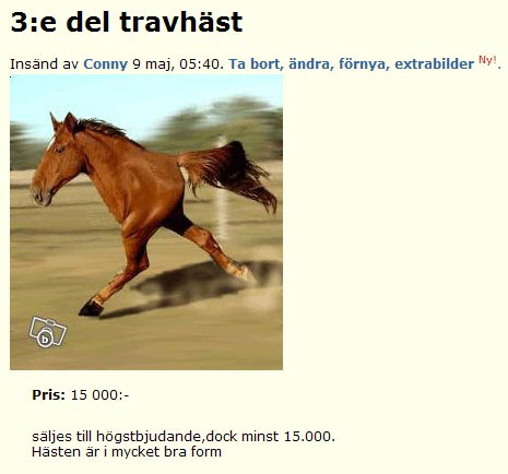 3:e del travhäst