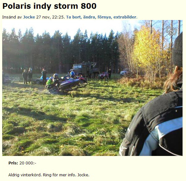 Polaris indy storm 800