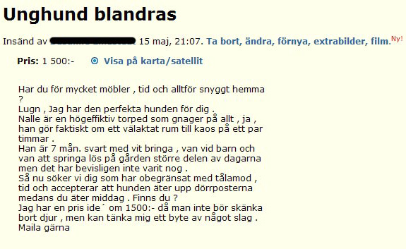 Unghund blandras