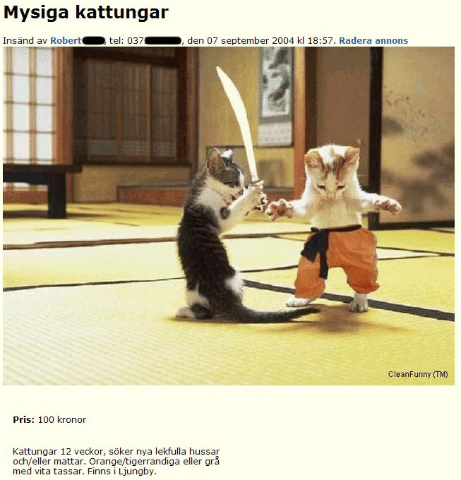 Mysiga kattungar