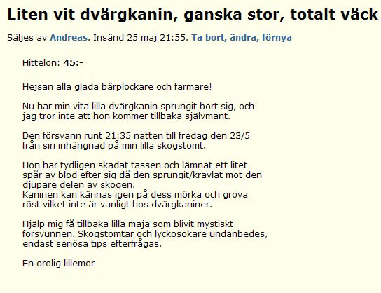 Liten vit dvärgkanin, ganska stor, totalt väck