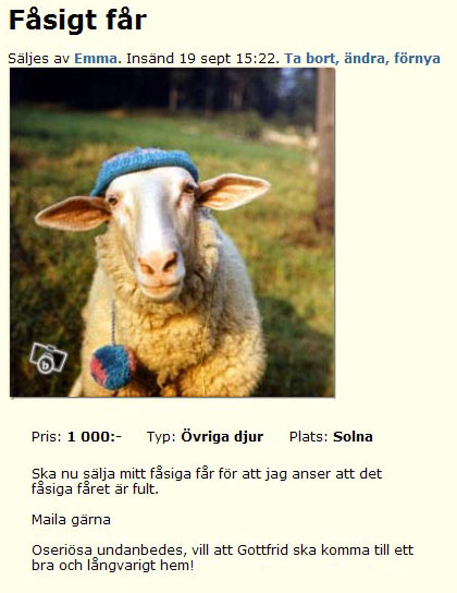Fåsigt får