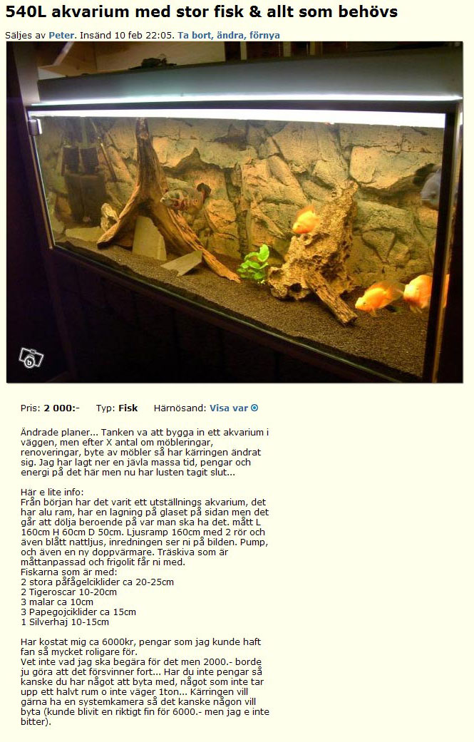 540L akvarium med stor fisk & allt..