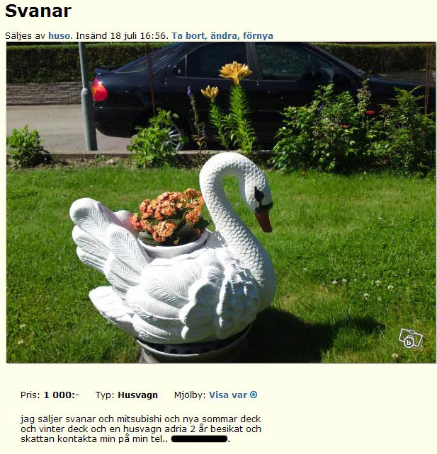 Svanar
