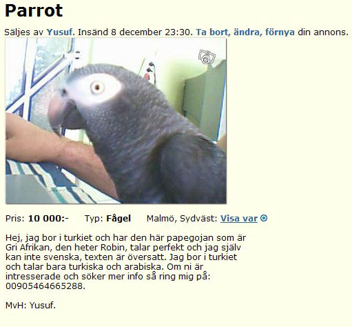 Parrot