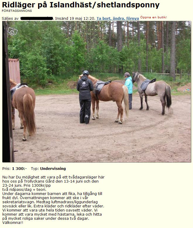 Ridläger på Islandshäst/shetlandsponny