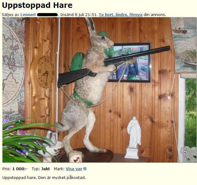 Uppstoppad Hare